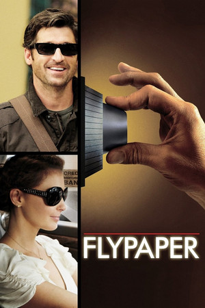 Watch Free Flypaper (2011)