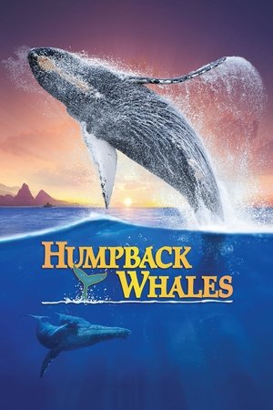 Watch Free Humpback Whales (2015)