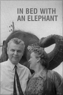 Watch Free In Bed with an Elephant (1986)