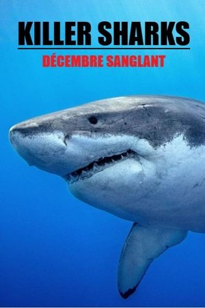 Watch Free Killer Sharks The Attacks of Black December (2011)