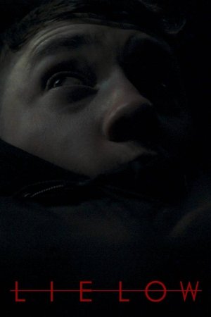 Watch Free Lie Low (2019)