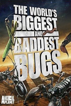 Watch Free Worlds Biggest and Baddest Bugs (2009)