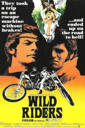 Watch Free Wild Riders (1971)