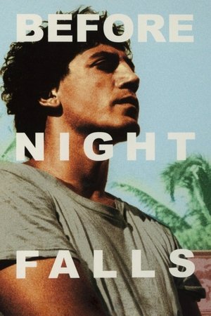 Watch Free Before Night Falls (2000)
