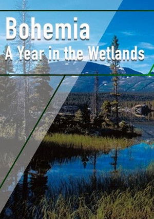 Watch Free Bohemia: A Year in the Wetlands (2011)