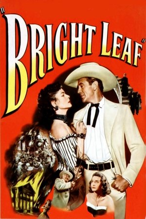Watch Free Bright Leaf (1950)