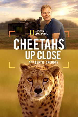 Watch Free Cheetahs Up Close with Bertie Gregory (2026)