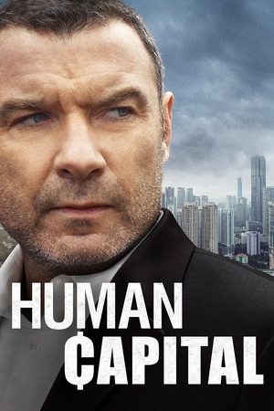 Watch Free Human Capital (2019)