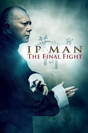 Watch Free Ip Man The Final Fight (2013)