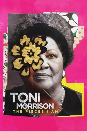 Watch Free Toni Morrison The Pieces I Am (2019)