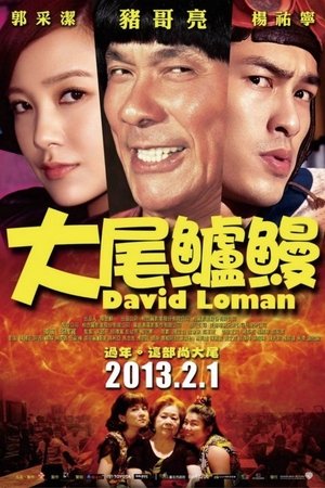 Watch Free David Loman (2013)