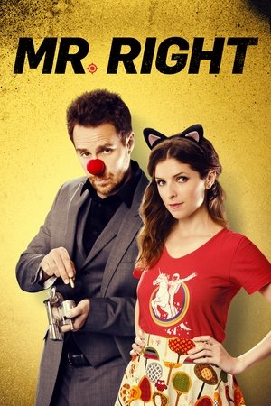 Watch Free Mr. Right (2015)