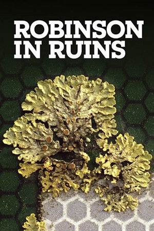 Watch Free Robinson in Ruins (2010)