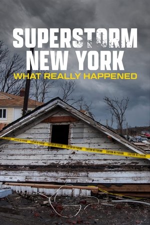 Watch Free Superstorm New York What Really Happened (2012)