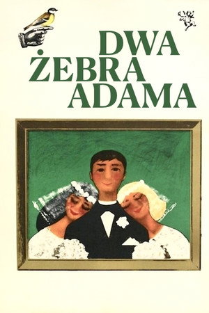 Watch Free Dwa zebra Adama (1964)