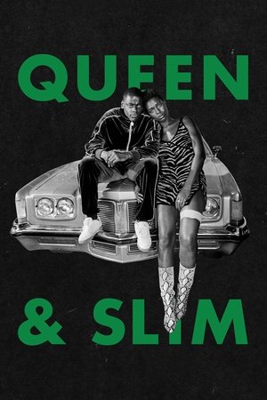 Watch Free Queen & Slim (2019)