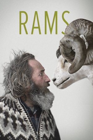 Watch Free Rams (2015)