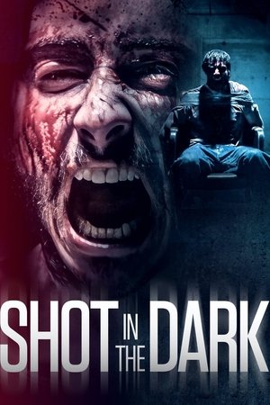 Watch Free Shot in the Dark (2021)
