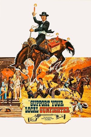 Watch Free Support Your Local Gunfighter (1971)