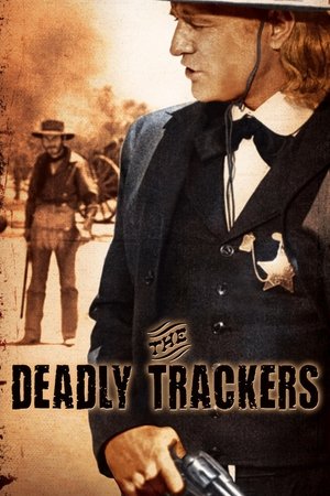 Watch Free The Deadly Trackers (1973)