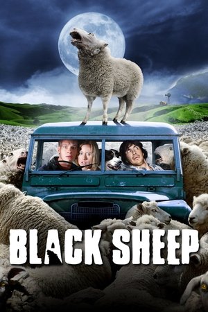 Watch Free Black Sheep (2006)