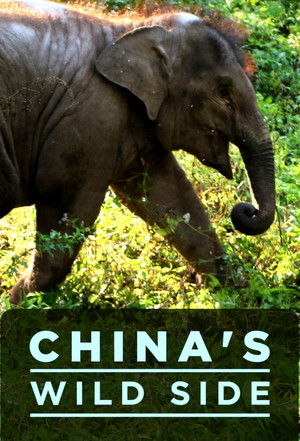 Watch Free Chinas Wild Side (2017–)