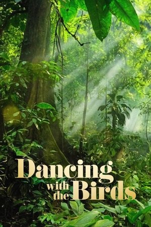 Watch Free Dancing with the Birds (2019)