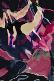 Watch Free Evolution (1954)