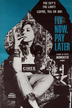 Watch Free Fly Now, Pay Later (1969)