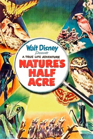 Watch Free Natures Half Acre (1951)