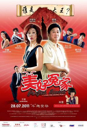 Watch Free Perfect Rivals (2011)