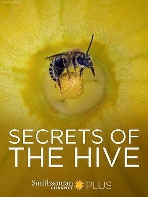 Watch Free Secrets of the Hive (2015)