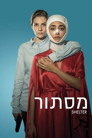 Watch Free Shelter (2017)
