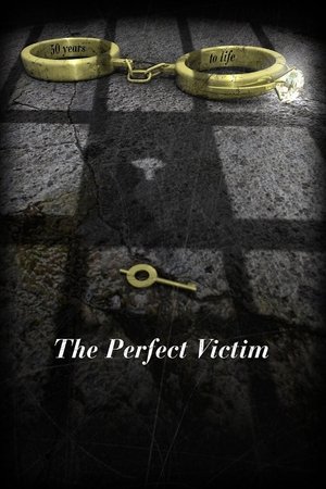 Watch Free The Perfect Victim (2012)