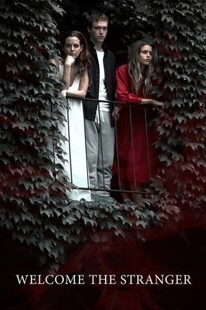 Watch Free Untitled Justin Kelly Project (2017)