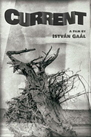 Watch Free Sodrasban (1964)