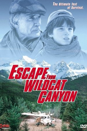 Watch Free Escape from Wildcat Canyon (1998)