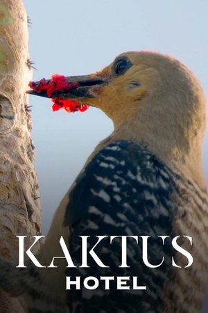Watch Free Cactus Hotel (2023)