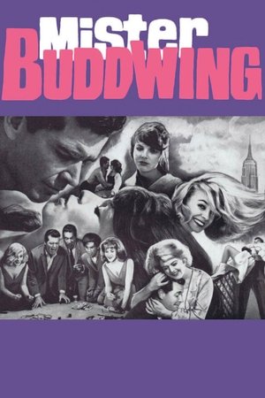 Watch Free Mister Buddwing (1966)