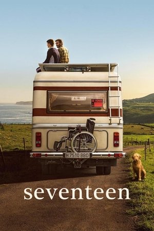Watch Free Seventeen (2019)