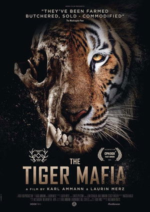 Watch Free The Tiger Mafia (2016)