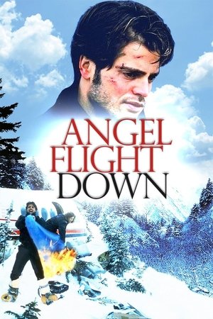 Watch Free Angel Flight Down (1996)