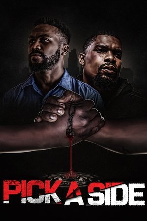 Watch Free Pick a Side (2021)