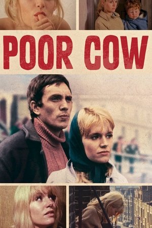 Watch Free Poor Cow (1967)