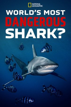 Watch Free Worlds Most Dangerous Shark (2021–)