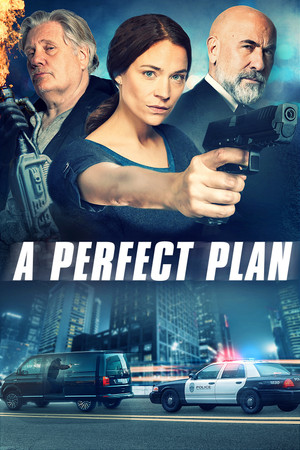 Watch Free A Perfect Plan (2019)