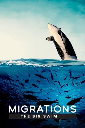 Watch Free Migrations The Big Swim (2020)