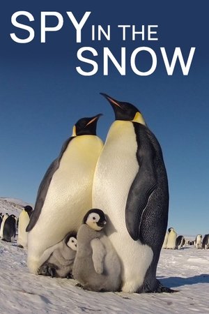 Watch Free Spy in the Snow (2018)