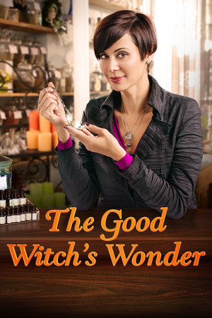 Watch Free The Good Witchs Wonder (2014)