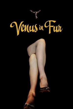 Watch Free Venus in Fur (2013)